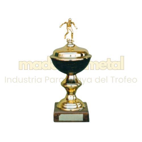 Imagen de Copa de metal con tapa - M5.2800